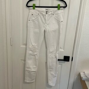 Hudson Collin Mid-Rise Skinny Ankle Jean with Distress
